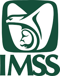 ¿Qué es el IMSS?